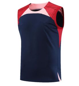 Colete Camisas de treino de futebol sem mangas 2023 Roupas pré-jogo Agasalho de manga curta 2023 24 camisetas Bolso com zíper shorts de futebol unifo