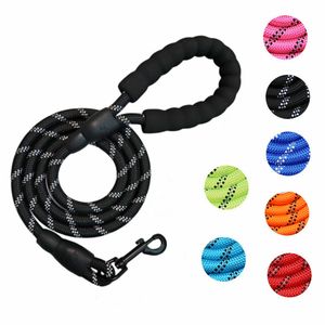 Nylon Dog Reflective Rope Adjustable Reflective Harness Labrador French Bulldog Training Dogs Chain Traction Safety Leashes