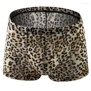 Cueca 4 Cores Animal Print Estilo Big Men Cock Pouch Lingerie Sexy Boxer Cueca Masculino Adulto Panites