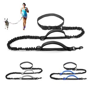 High Qulity Retractable Hands Free Dog Leash For Running Dual Handle Bungee Leash Reflective For Large Dogs Pet Supplies
