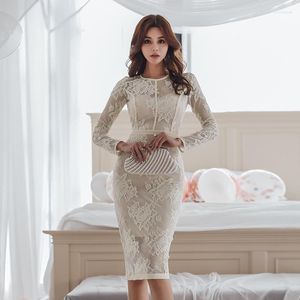 Casual Dresses Autumn Winter Sexy See Through Dress For Women Long Sleeve Bodycon White Floral Lace Plus Size Sukienka