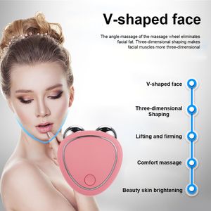 Face Massager Electric Lift Roller EMS Micro Current Sonic 3D Vibration Skin Firming Massage Portable Beauty Tool 230612