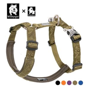 Imbracature Truelove Nylon Designer Dog Collars e imbracature di grandi dimensioni per cani a riflessione morbida per cani Nylon Dog Belt Safety Pit Bull