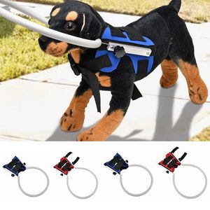 Hundhalsar Leases Blind Pet Anti-Collision Ring Collar Dog Guide Training Beteende AIDS Fit Small Big Dogs Prevent Collision Collar Supplies 230612