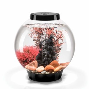 Aquariums Classic Aquarium med all dekor och tillbehör inkluderade vit LED -ljus 4 gallon svart stenflod fiskbehållare 230613