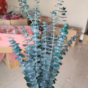 Dried Flowers Blue Eucalyptus Leaves Preserved Natural Flower Arrangement Home Decoration Mariage Bouquet DIY Epoxy Resin 230613