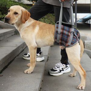 Hundhalsar LÄNGA Justerbart hundstödsele för fram- och bakben som lyfter rehabilitering Vest för gamla hundar med funktionsnedsättningar PET -leveranser 230613