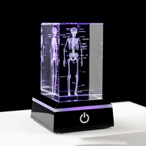 Dekorativa objekt Figurer Crystal 3D Laser Graverade Human Anatomical Skeleton Cube Model Statue Paperweight Anatomy Mind Neurology Science Gifts 230613