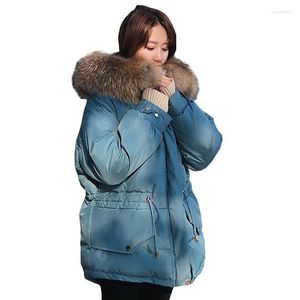 Kadın trençkotları büyük kürk yaka mavi moda aşağı pamuk ceket parka kış ceket kadınlar bel gevşek artı beden yastıklı palto