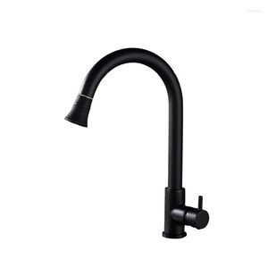 Kitchen Faucets Single Cold Sink Faucet Pulled Out Copper Water Tap For Wash Basin Silver/Black Bathroom Mixer Grifo Lavabo