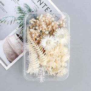 Dekoratif çiçekler 1 kutu beyaz kurutulmuş diy mum yapmak epoksi reçine kalıp takı aksesuarları düğün buket ev dekorasyon