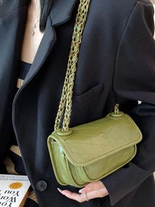 Borse da sera JIAERDI Harajuku Borse solide Donna 2023 Summer High Street Green Borsa a tracolla Ladies Versatile Casual Mini Square Y2k