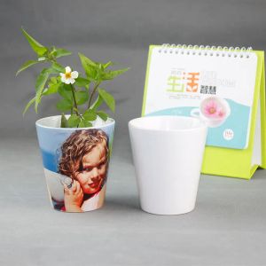 Vaso da fiori in ceramica a sublimazione da 12 once Pressa a caldo Vaso per piante da decorazione Graden Gome bianco