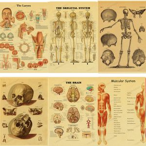 Anatomia e Fisiologia A Estrutura do Corpo Pôster Esqueleto Retrô Papel Kraft Adesivo Decoração de Quarto Vintage Arte Pintura de Parede