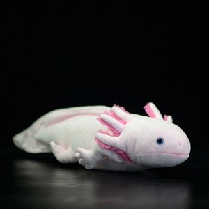 Plyschdockor mjuka livtroxolotl plysch leksak realistiska söta axolotl ambystoma mexicanum fyllda djur leksaker gåvor till vuxna barn 230614