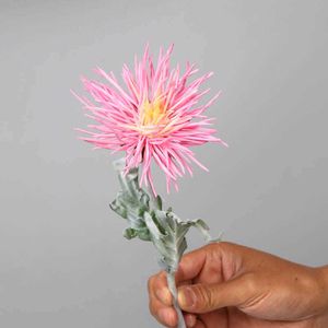 Dried Flowers Simulation Moisturizing Claw Chrysanthemum Home Living Room Dining Table Wedding Decoration Artificial Flower Fake Plant