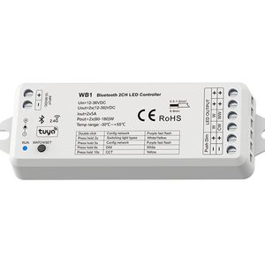 12V-36VDC 2CH*5A 2.4G RF Bluetooth-compatible Controller WB1 Tuya App Push Dim For Single Color Color temperature LED Strip