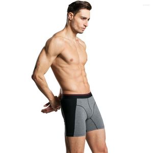 Underpants Cotton Boxers Men Underwear Long Leg Breathable Male Sexy Boxer Shorts Brand Men's Mesh Clot