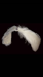 Pannband Swan Lake Headwear Feather Ballet Costume Accessories Headwear 230615