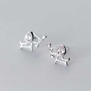 Orecchini a bottone MloveAcc 925 Sterling Silver Dog per le donne Cubic Zircon Animal Fashion Original S925 Orecchino