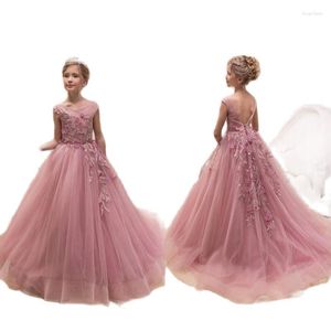 Vestidos de menina blush rosa renda flor ocasião especial para casamentos penas crianças vestidos de desfile vestido de baile tule primeira comunhão Dre