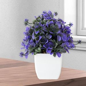 Fiori decorativi Bellissima pianta artificiale Colore naturale MAI appassire imitazione simulata Bonsai Decoration