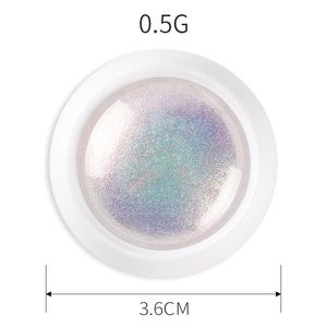 2021 Chrome Pearl Shell Powder Nail Art Glitter Pigment Powder Shiny Långvarig Manicure Nail Tip Decoration Gel Polish Damm
