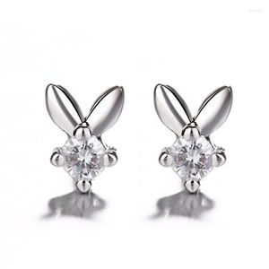 Brincos de prata esterlina 925 animais de cristal lindo brinco para mulheres 2023 joias da moda Brincos Joyas De Plata