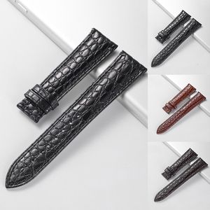 Watch Bands Real Alligator Watch Strap Genuine Leather Watch Bands For Men Or Women Watch Accessories 12 - 24mm Not Included Buckle 230616