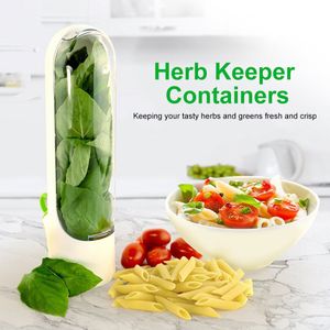 Storage Boxes Bins Herb Preserving Box Refrigerator Coriander Food Fresh Keeping Organizer Cup Kitchen Container Type Fresh 230615