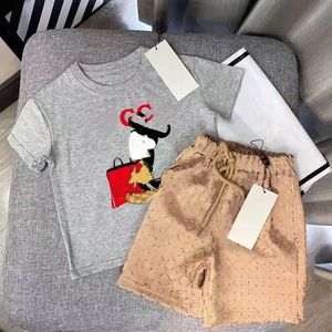 Conjunto de roupas de verão para meninos de 2 a 12 anos, nova moda casual, camiseta de desenho animado ativo, calça infantil, roupas infantis para bebês e meninos