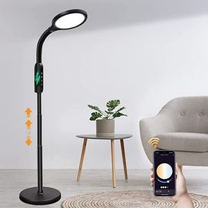 Stående golvlampa för vardagsrum Remote Control Golvlampa 3 Justerbar ljusstyrka Desklampor inomhus och utomhus LED -nattljus med laddningsbart batteri