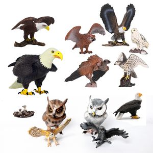 アクションおもちゃのフィギュアリアルなプラスチック製の餌の鳥、ハゲイーグルファルコンホークフクロウの騒ぎ。アニマルモデル教育セット230617