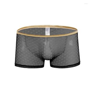 Underpants Super Sexy Men's Sheer Underwear Boxers Gay Men Transparent Shorts Mens Lace Panties Male Lingerie Spandex