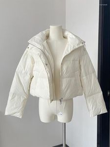 Gabardinas Femininas de Inverno Femininas de Cor Sólida Gola alta Jaqueta acolchoada de algodão com zíper Outwear Oversize Moda Coreana Kpop dos anos 90