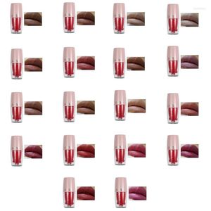 Lip Gloss For Cat Matte Liquid Lipstick Velvet Non-stick Super Stay Girl Drop