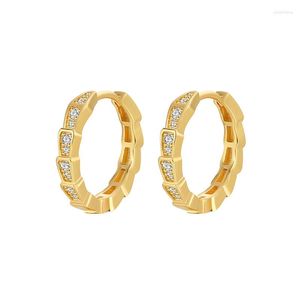 Hoop Earrings Fashion Exquisite Bamboo Snake Circle Style S925 Silver Needle CZ Zircon For Women Jewelry Wholesale