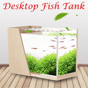 Tanks Desktop Fish Tank Home Microlandscape Aquarium Mini Side Filter Akryl Ekologisk dekor Small Fish Tank med 2,5W vattenpump