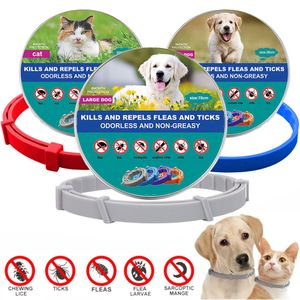 Hundhalsar Leases Pet Cat Veterinary Anti Lopp och fästingskrage för katter Dogs Antiparasitic Necklace Stora små produkter 230619