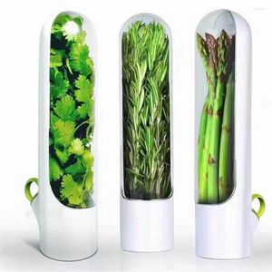 Storage Bottles Savor Pod Vanilla Crisper Premium Fresh-keeping Cup Vegetable Preservation Bottle For Dill Coriander Vegetables Fresh