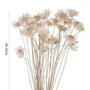 Fiori decorativi Crisantemo utile Piante naturali romantiche Conserva bouquet floreale colorato per regalo