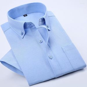 Men's Dress Shirts Oxford Place Summer Men's Solid Color Short-sleeved Shirt Middle-aged And Elderly