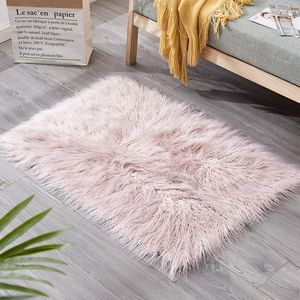 Dywany 2023 Pluszowy dywan domowy moda moda na zimno pieprzone podłogowe mata salonowa sofa stopa