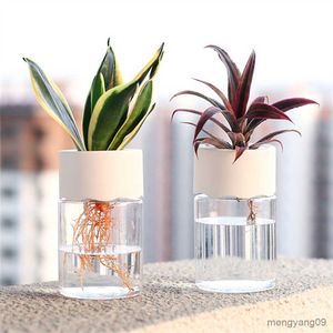 プランターポット水耕栽培植物ポット透明な植え付け花瓶プラスチックポット植物スタイリッシュなコンテナプランターホームデスク装飾フラワーポットR230620