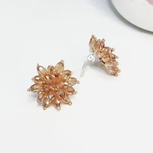Kedjor koreansk version av modeörklipp piercing blomma stud kvinnlig kristall all-match pärla öronstycke tillbehör örhänge