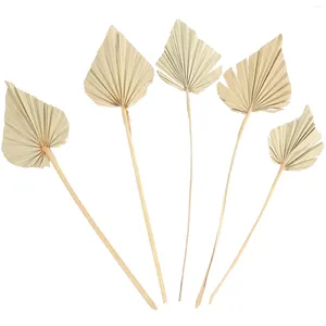 Decorative Flowers 5 Pcs Palm Dried Flower Wedding Layout Leaf Arrangement Ornament Vintage Decor Home Scene Prop Yellow Adornment Fan