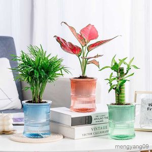 Planters Pots 1X Transparent Double Layer Plastic Flower Pot Self Watering Flowerpot With Rope Watering Small Plant Pot Lazy Flower Plant Pot R230620