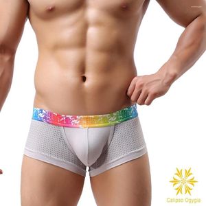 Underpants Model Mesh Breattable Men's Sexy Cotton Underwear Boxer Size Partihandel