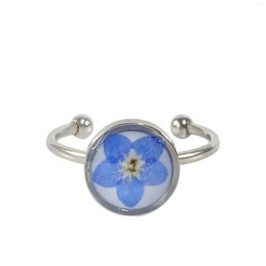 Cluster Rings 2023 Do Not Forget Me Flower Ring For Women Charm Dried Fashion Jewelry Gift Wholesale