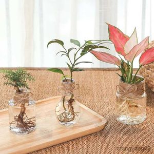 Planters POTS Transparent Flower Pot Hydroponic Green Dill Plastic Flower Pot Simple Flower Pot R230620